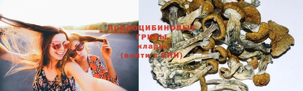 гашик Абаза