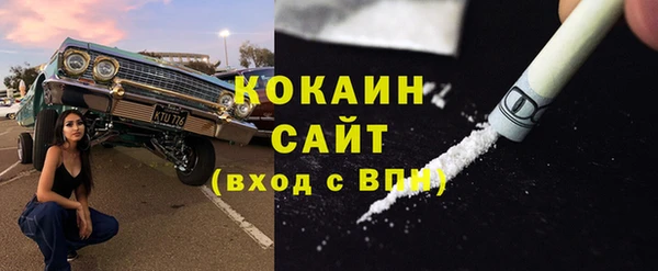 таблы Новозыбков