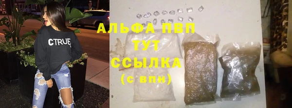 гашик Абаза