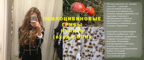 гашик Абаза