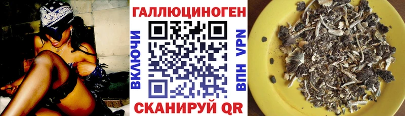 Галлюциногенные грибы мухоморы  даркнет сайт  Северская 